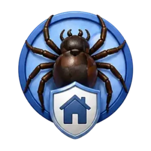 spider control Sarasota