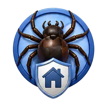 spider control in florida