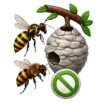 wasp removal florida