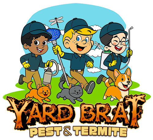 Pest Control in Florida