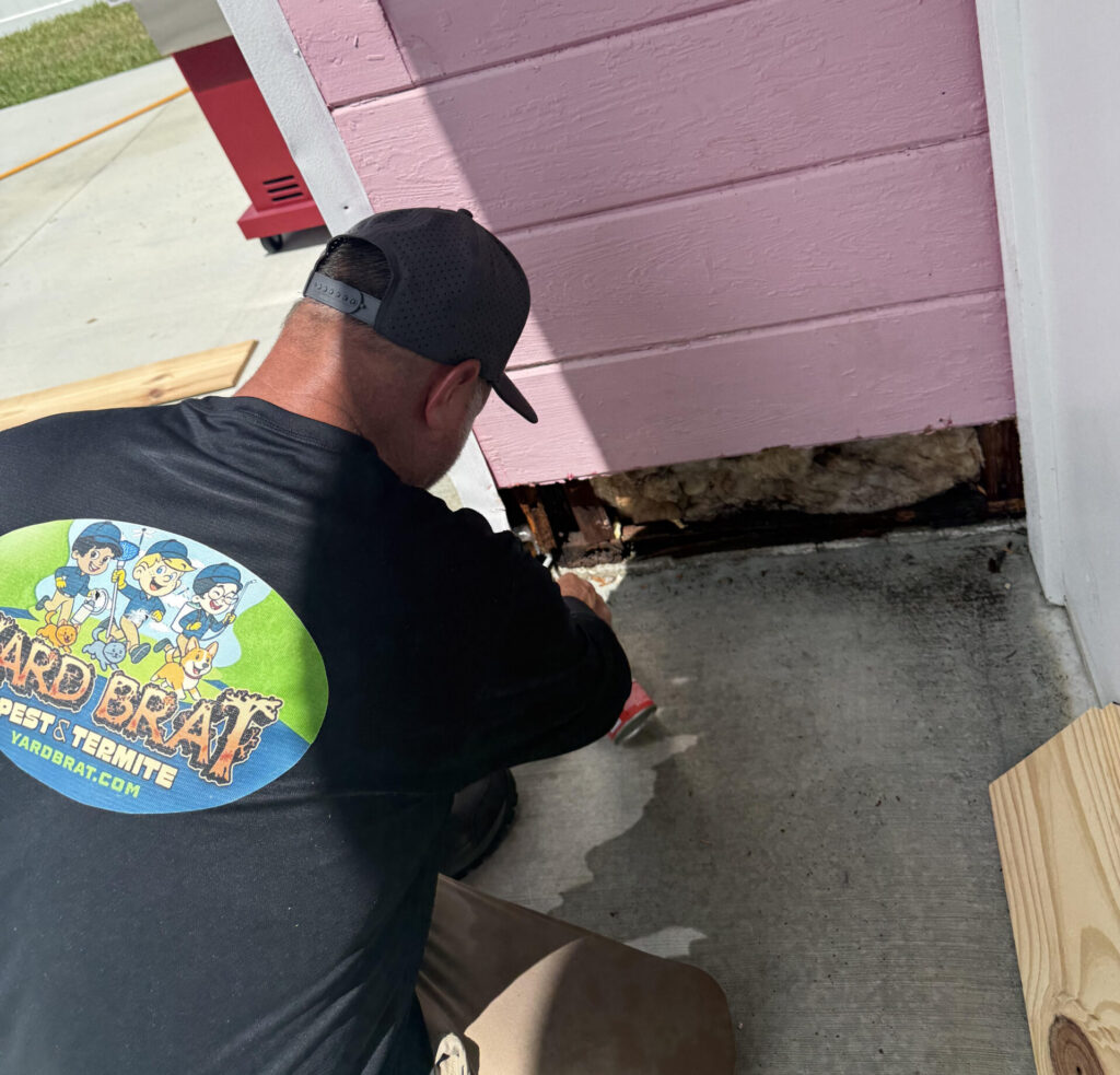 termite spot treatment